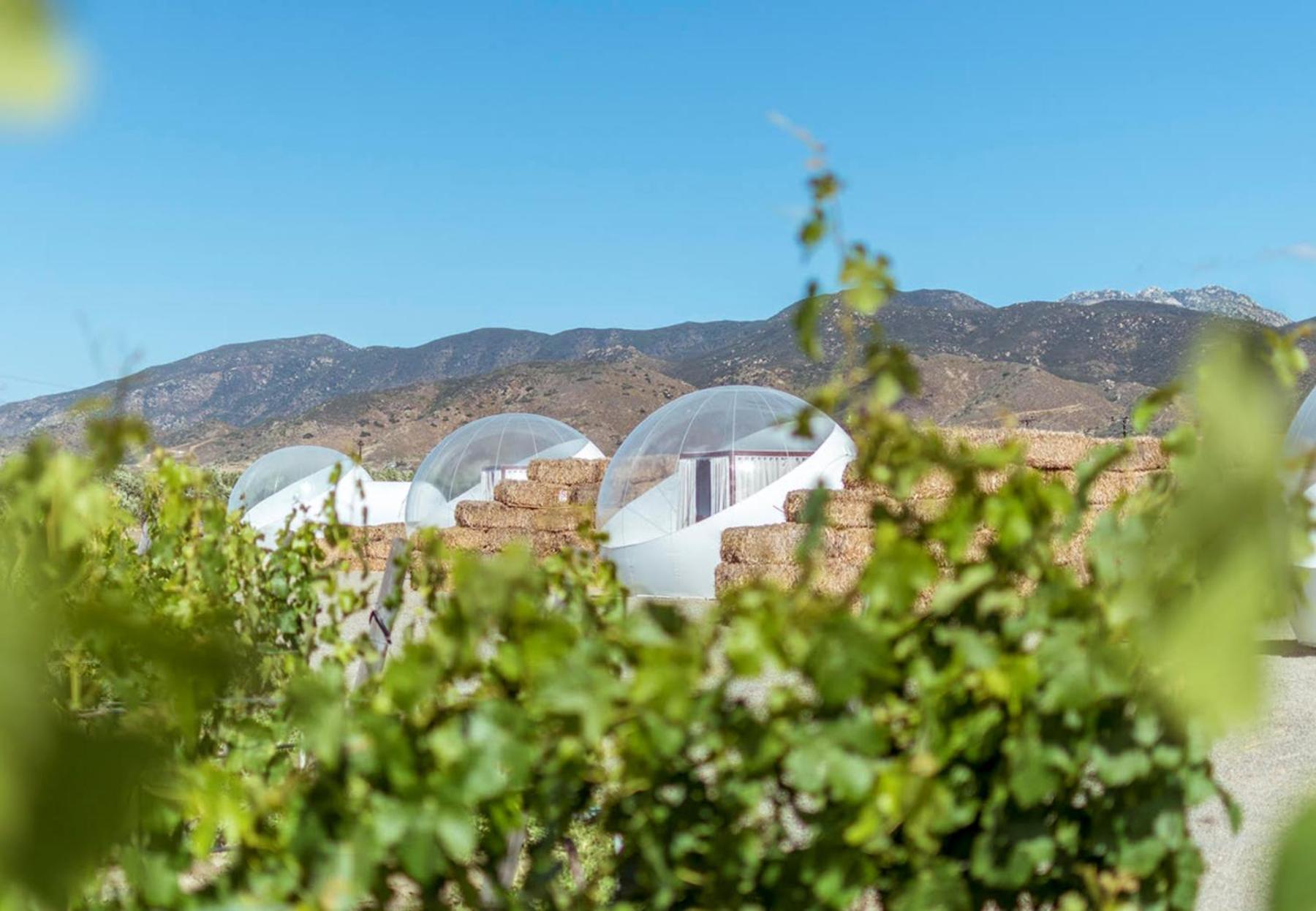 Campera Valle De Guadalupe Hotel Ensenada Exterior photo