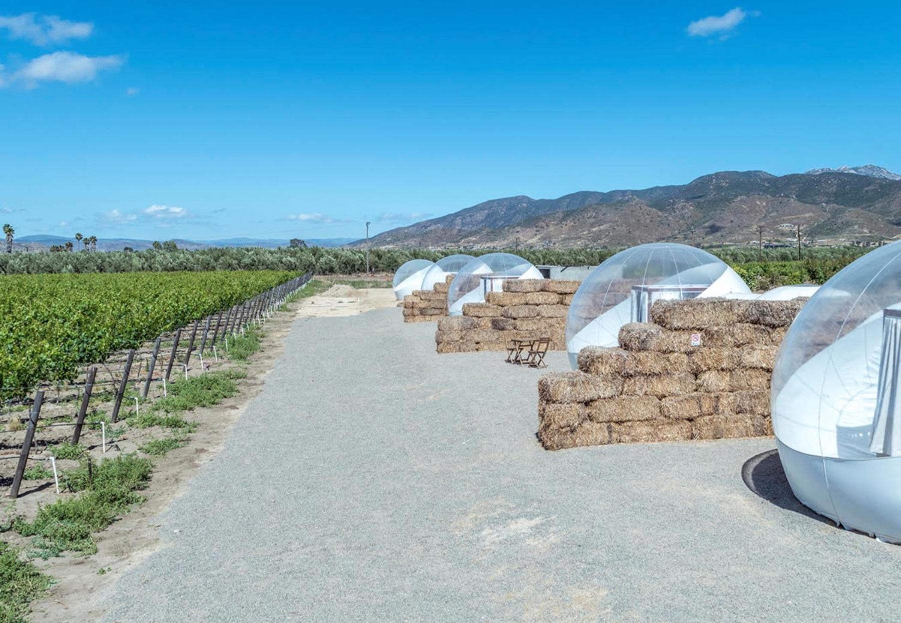 Campera Valle De Guadalupe Hotel Ensenada Exterior photo